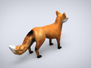 fox Modelo 3D