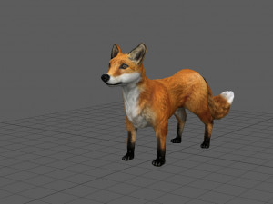 fox Modelo 3D