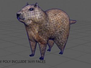 groundhog Modello 3D