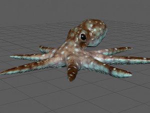 octopus 3D-Modell