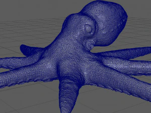 octopus 3D Model