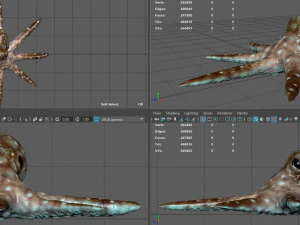 octopus 3D Model
