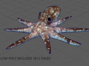 octopus 3D Model