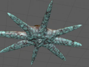 octopus 3D Model