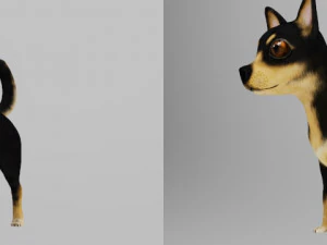 chihuahua 3D Model