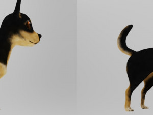 chihuahua 3D मॉडल