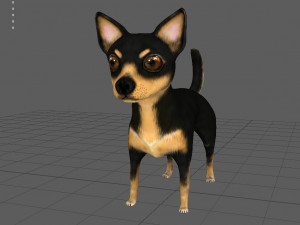 chihuahua 3D मॉडल