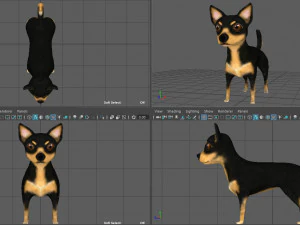 chihuahua 3D Model