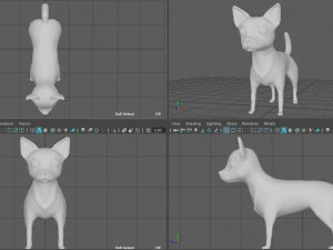 chihuahua 3D Model