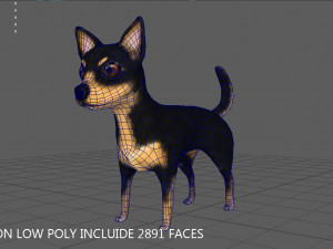chihuahua 3D मॉडल