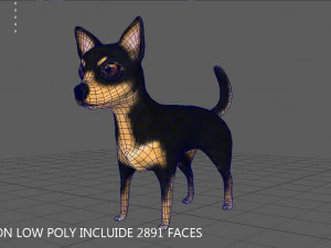 chihuahua 3D Model
