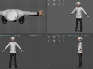 chef 3D Model