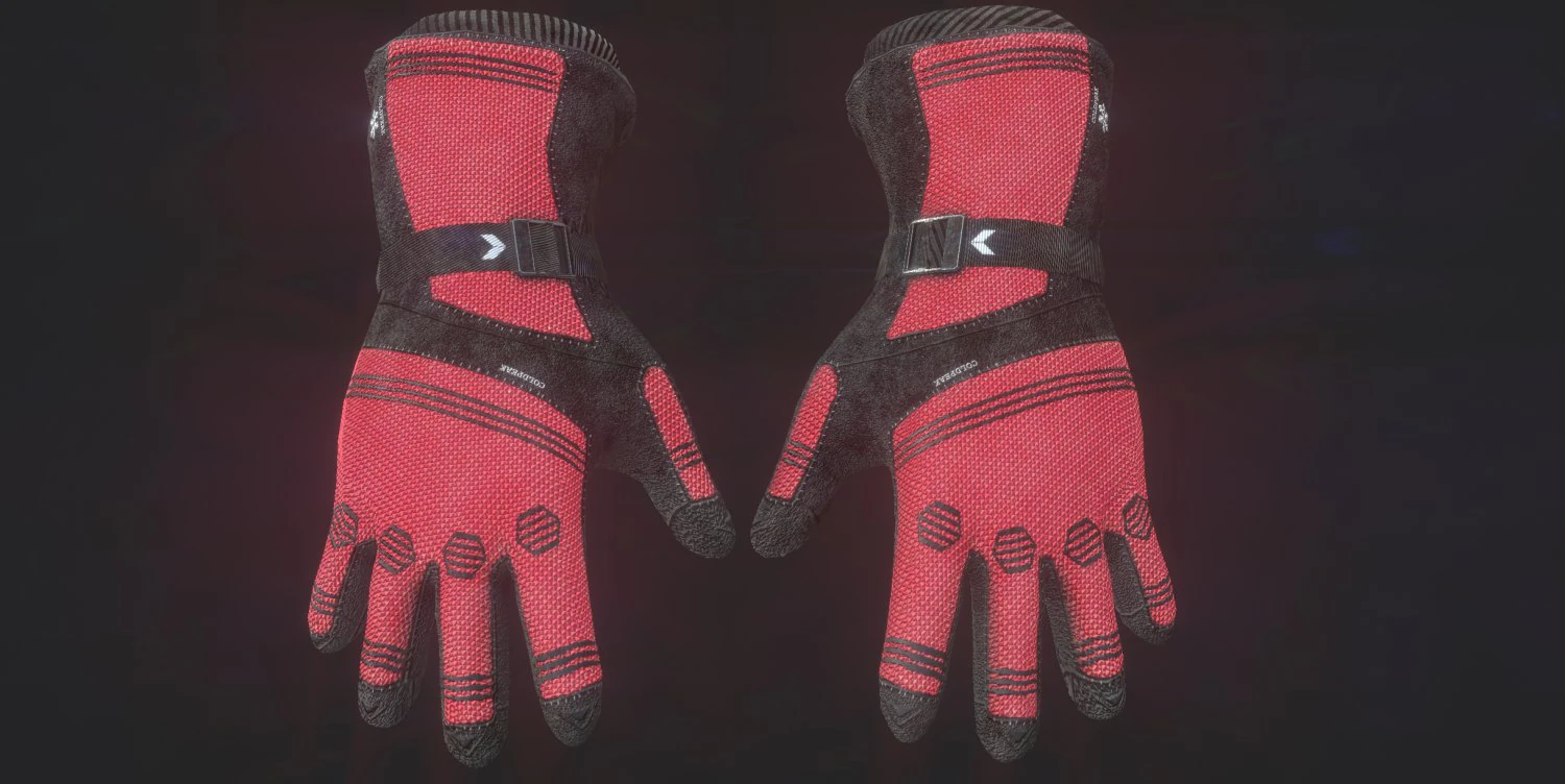 ski gloves 3D Model .c4d .max .obj .3ds .fbx .stl .blend 