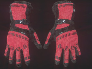 ski gloves 3D मॉडल