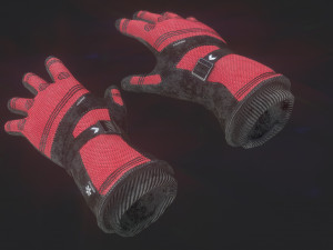 ski gloves 3D Model