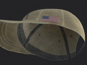 usa cap 3D Model