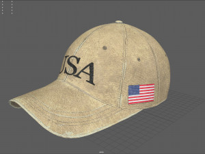 usa cap 3D Model