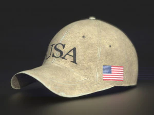 usa cap 3D Model