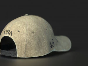 usa cap 3D Model