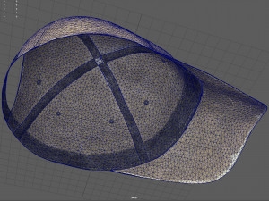 usa cap 3D Model