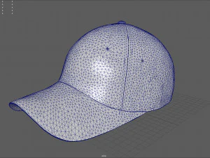 usa cap 3D Model