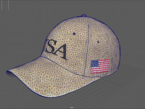 usa cap 3D Model