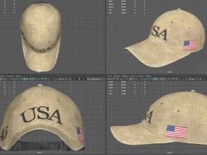 usa cap 3D Model