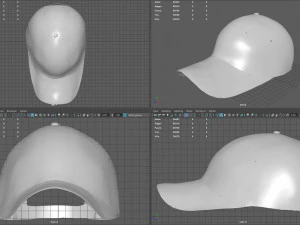 usa cap 3D Model