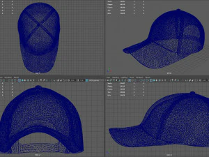 usa cap 3D Model