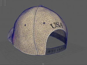 usa cap 3D Model