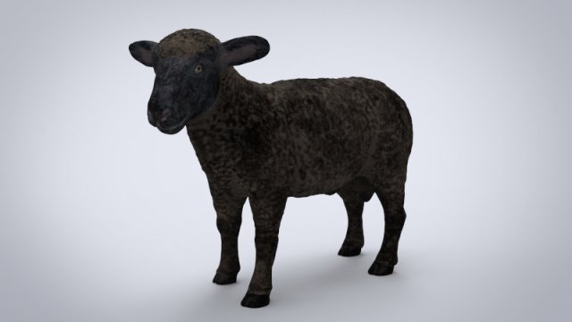 black sheep 3D Model .c4d .max .obj .3ds .fbx .stl .blend 