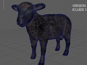 black sheep 3D Model
