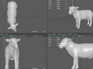 black sheep 3D Model