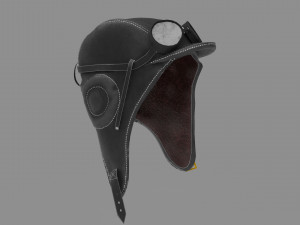 pilot hat 3D Model