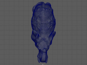 elephant india 3D Model