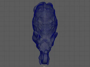 elefante indiano Modello 3D