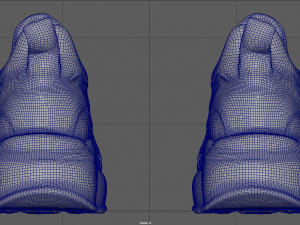 Woman Shoes Model 3D