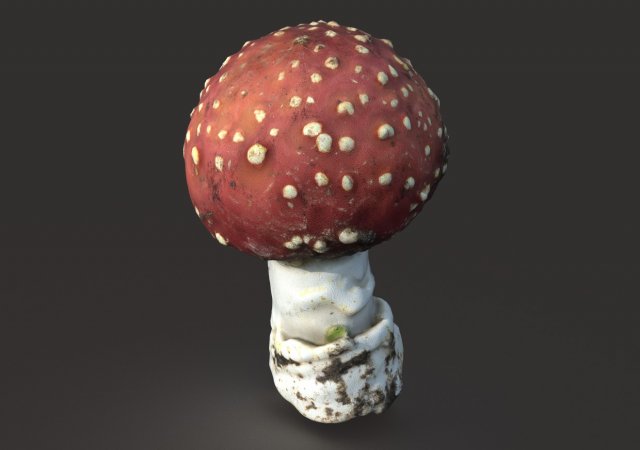 mushroom amanita Modello 3D .c4d .max .obj .3ds .fbx .stl .blend 