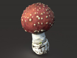 mushroom amanita 3D Model