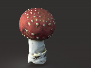 mushroom amanita Modello 3D