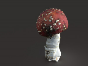 mushroom amanita Modello 3D