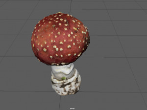 mushroom amanita Modello 3D