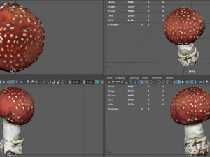 mushroom amanita Modello 3D