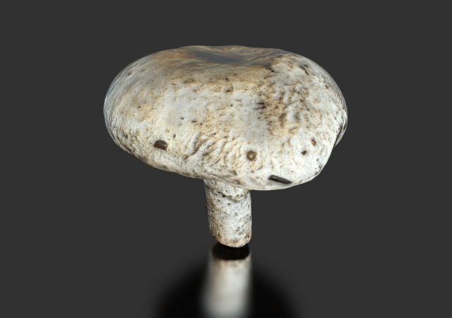 mushroom 4 Modelo 3D .c4d .max .obj .3ds .fbx .stl .blend 