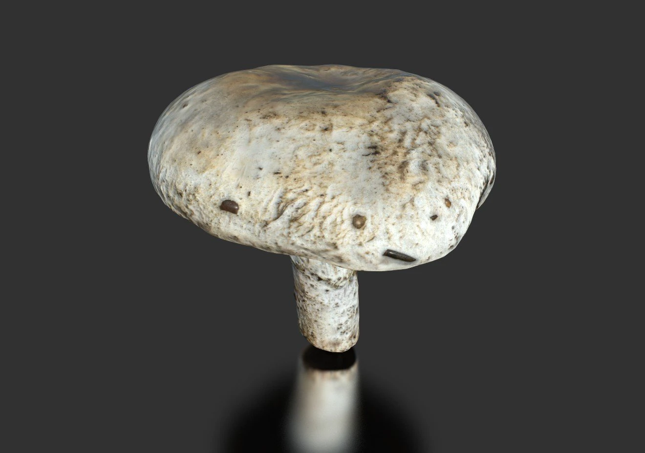 キノコ4 3Dモデル .c4d .max .obj .3ds .fbx .stl .blend 