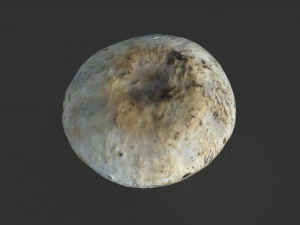 キノコ4 3Dモデル