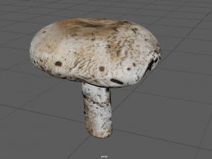 キノコ4 3Dモデル