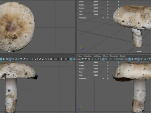 キノコ4 3Dモデル