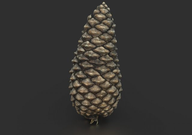 pinecone Model 3D .c4d .max .obj .3ds .fbx .stl .blend 