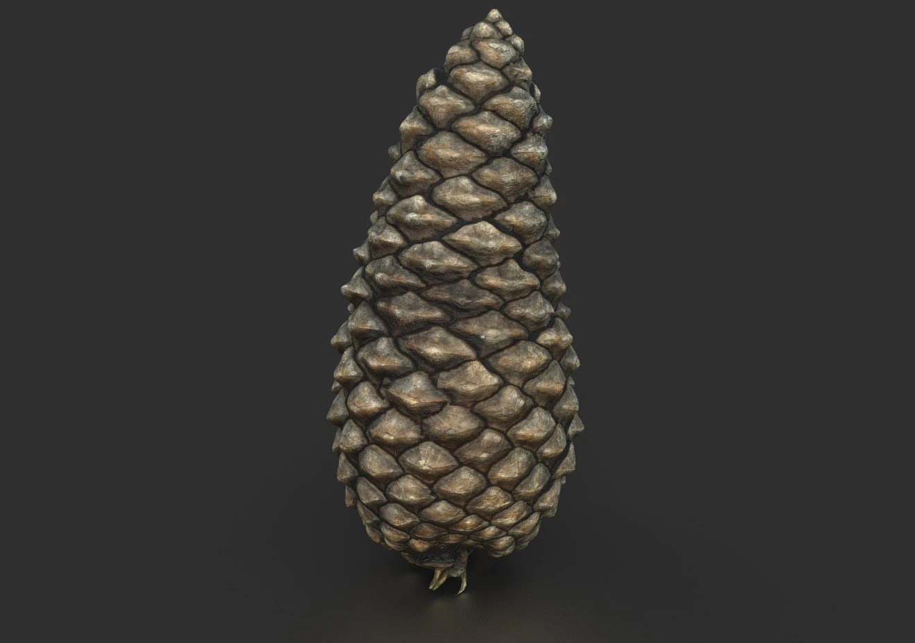 pinha Modelo 3D .c4d .max .obj .3ds .fbx .stl .blend 